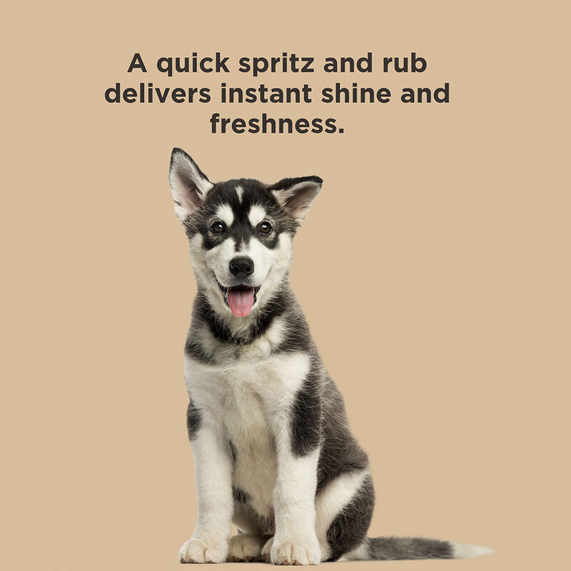 BioSilk For Dogs Silk Therapy Coconut Oil Waterless Bath Spray, , large image number null